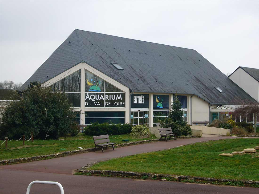 Nathalie GURD - NG Décoration - Aquarium du Val de Loire - Amboise - Décors