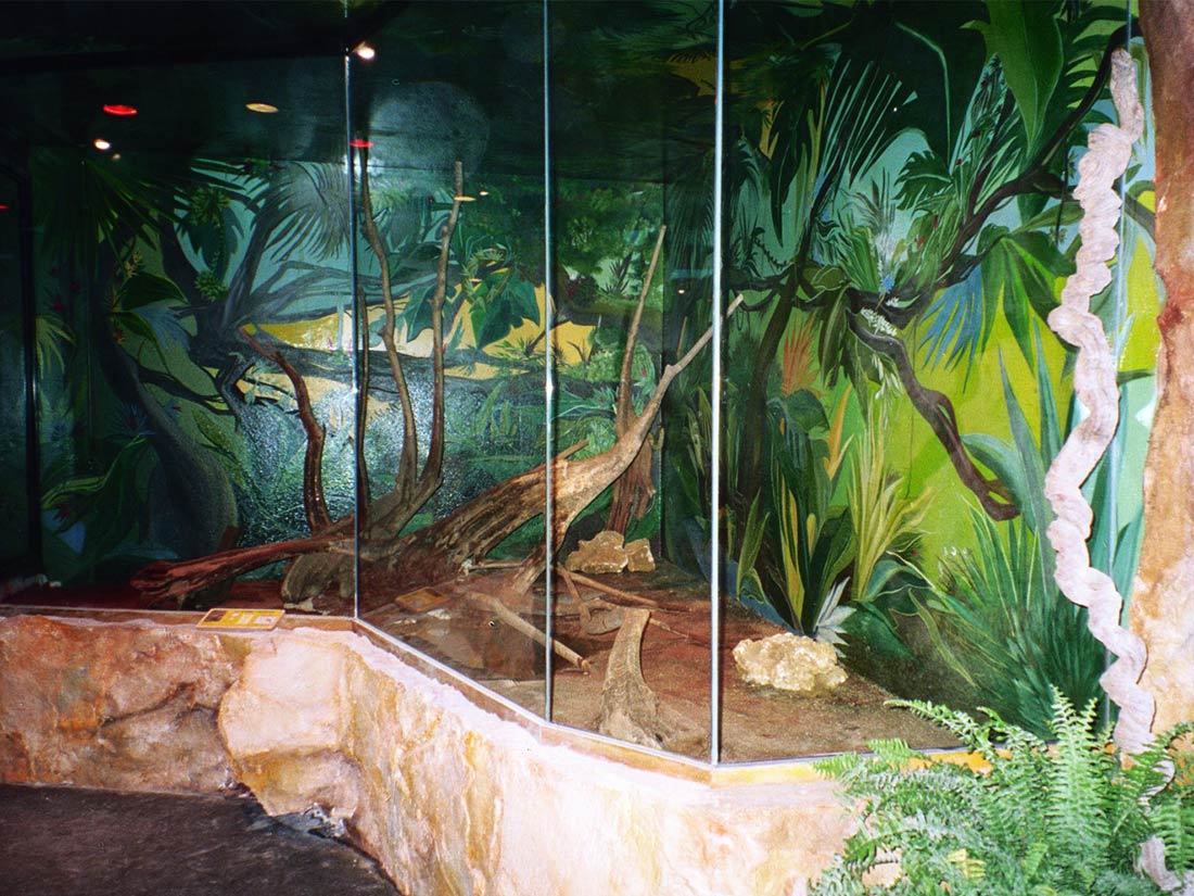 Nathalie GURD - NG Décoration - Île Aux Serpents - Poitier - Decors Fresques